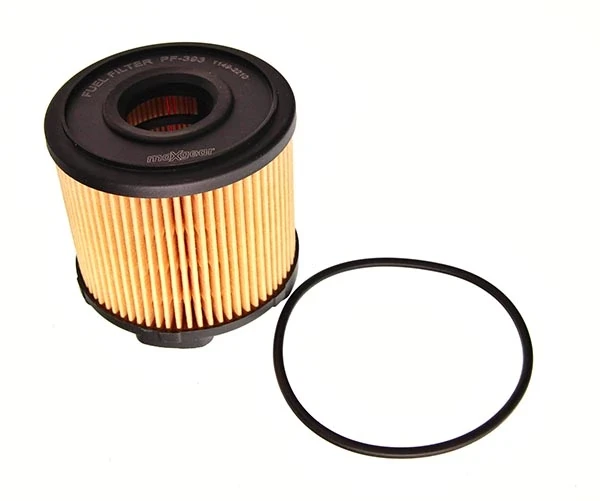 Caixa de filtro de combustível para Peugeot 406 (8B)