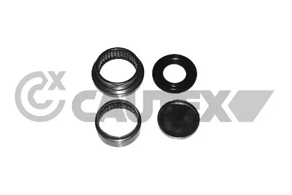  031436 Cautex