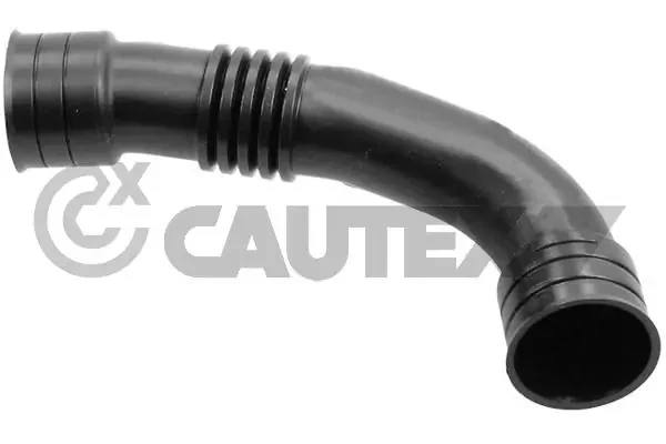 753134 Cautex