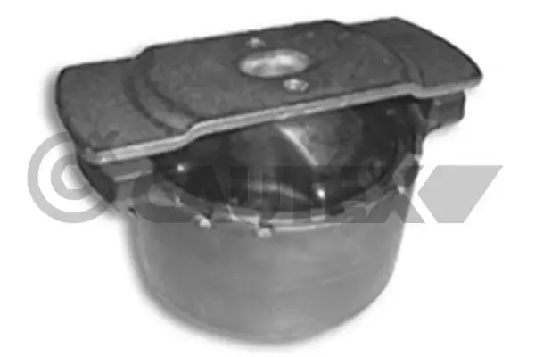 Bloco silencioso de viga traseira (de plataforma veicular) 020533 Cautex