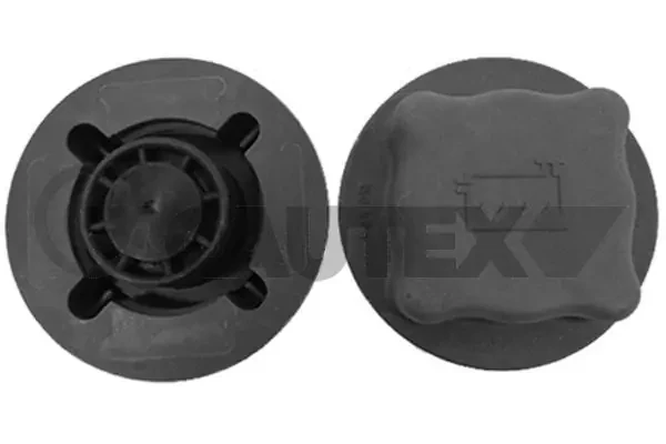 954271 Cautex