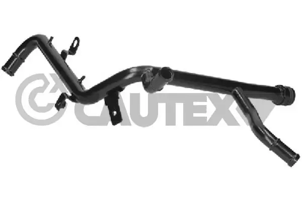  955311 Cautex