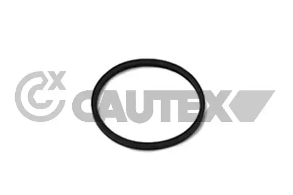 Vedante de termostato para Renault Espace (J63)