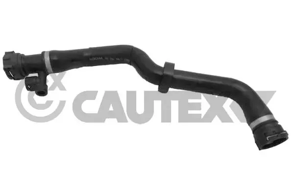 Mangueira (cano derivado) do radiador de esfriamento superior 754109 Cautex