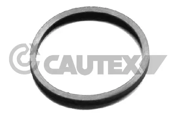 Vedante de termostato 954208 Cautex