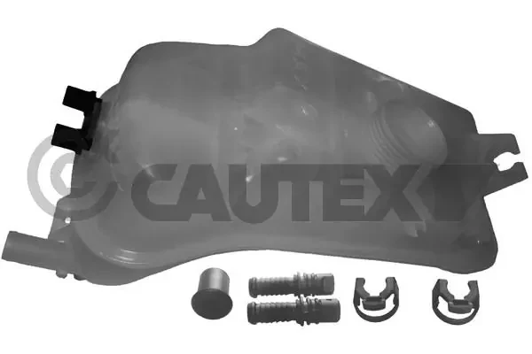 954233 Cautex