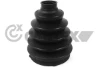 752143 Cautex