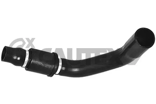  086796 Cautex
