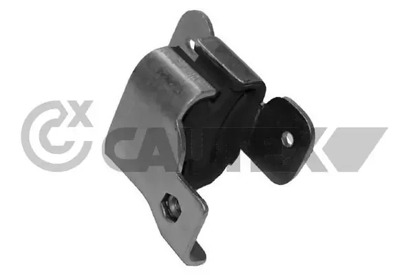 021479 Cautex