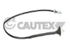 489119 Cautex