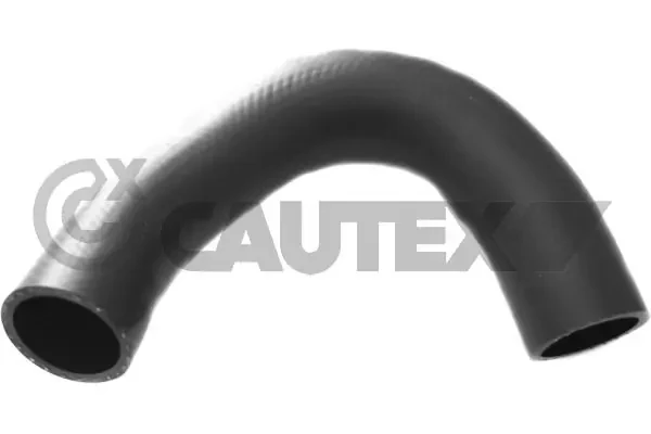 760309 Cautex