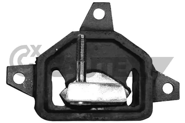 480145 Cautex