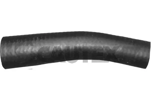  036175 Cautex
