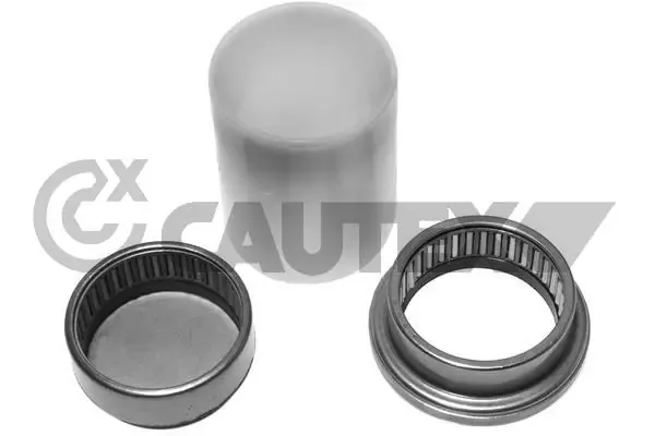  031252 Cautex