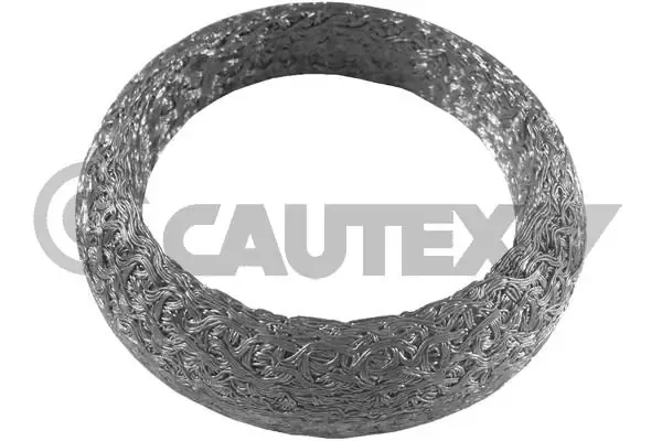  954198 Cautex