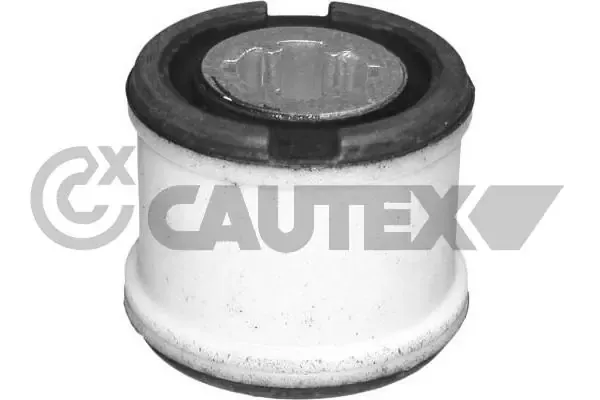 081107 Cautex