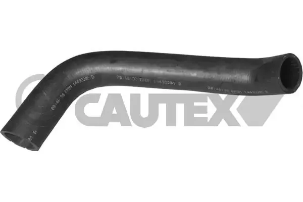 Mangueira (cano derivado) do radiador de esfriamento superior 016022 Cautex