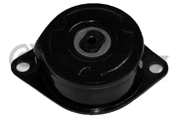 461349 Cautex