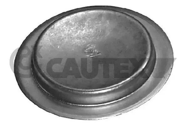 Compre Tampão CBC/do bloco de cilindros Fiat 500  312
