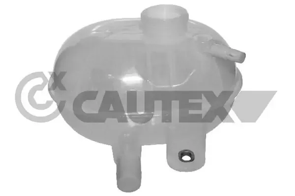 Tanque de expansão do sistema de esfriamento Fiat 500 hatchback (312) (2007 - 2025) preço, a partir de