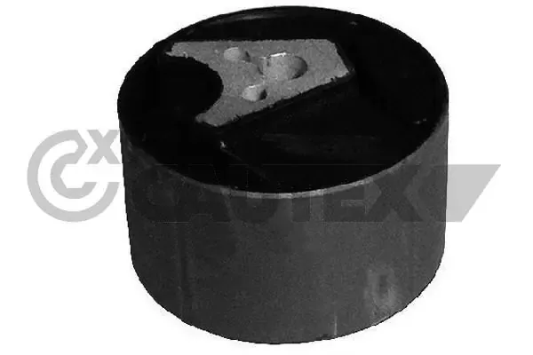  031696 Cautex