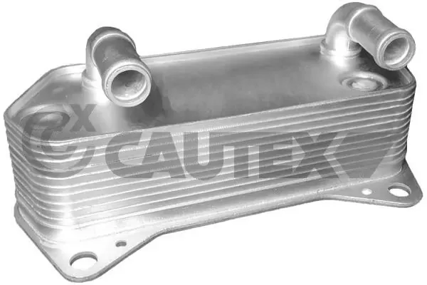 Radiador de esfriamento, Caixa Automática de Mudança 462519 Cautex