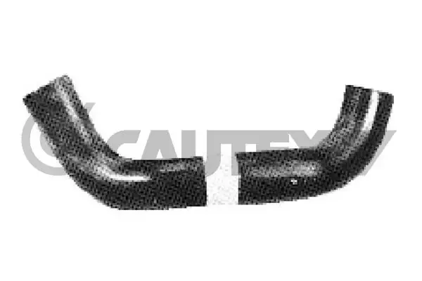  036100 Cautex
