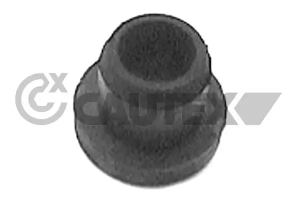  010543 Cautex