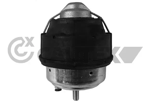 250063 Cautex