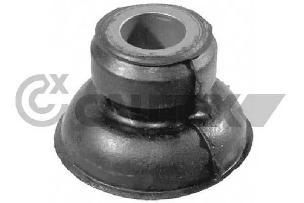  021337 Cautex