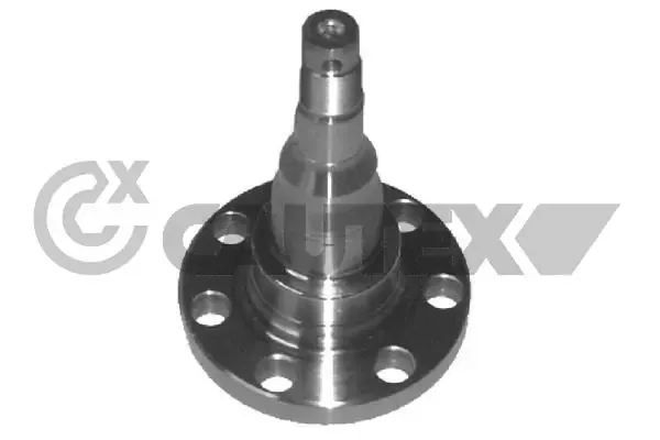 Pino moente (extremidade do eixo) traseiro 461024 Cautex