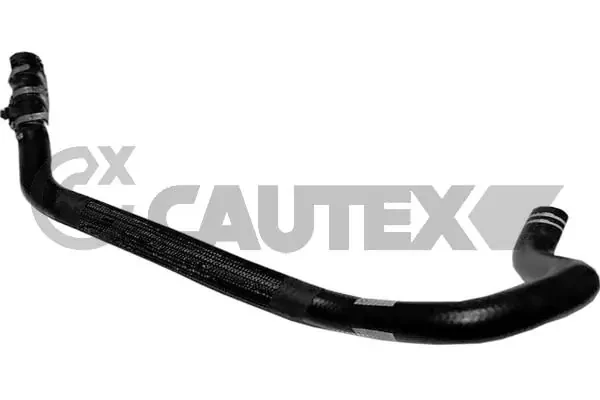 036738 Cautex
