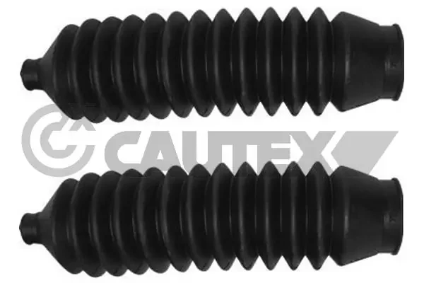 080062 Cautex