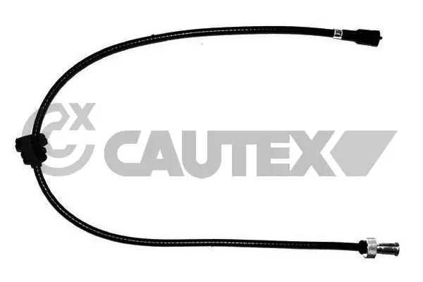 483117 Cautex