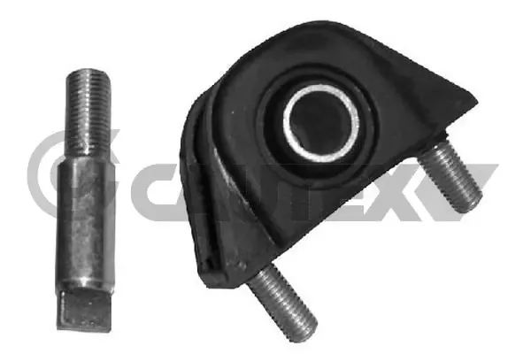  031251 Cautex
