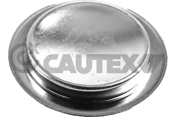 Tampão CBC/do bloco de cilindros Fiat 500 hatchback (312) (2007 - 2025) preço, a partir de