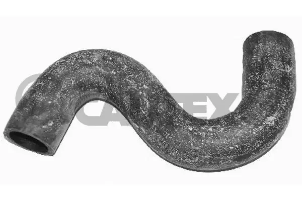 Mangueira (cano derivado) do radiador de esfriamento superior 035076 Cautex