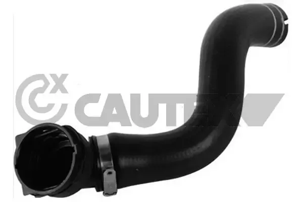 Mangueira (cano derivado) do radiador de esfriamento superior 753287 Cautex
