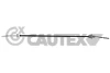 468041 Cautex