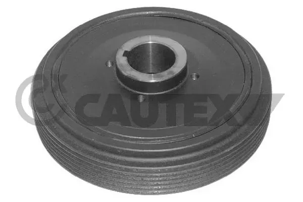 Polia de cambota 010923 Cautex