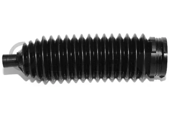 462428 Cautex
