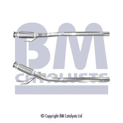 BM50319 BM Catalysts