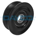 APV3189 Dayco