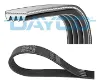 4PK855 Dayco