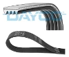 4PK812 Dayco