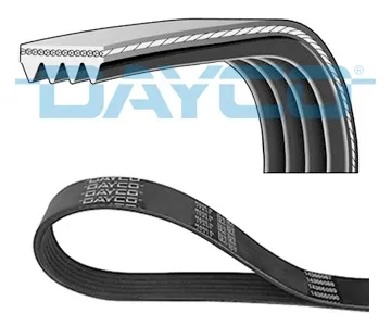 4PK855 Dayco