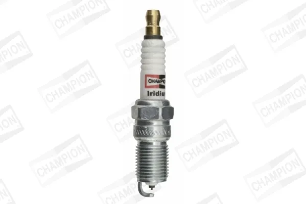 CCH9808 Champion