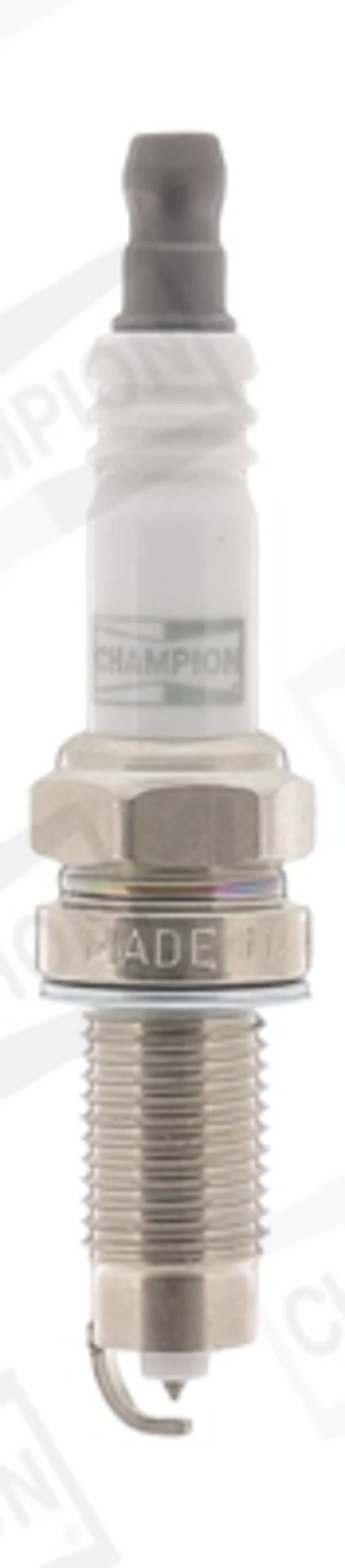 OE215 Champion