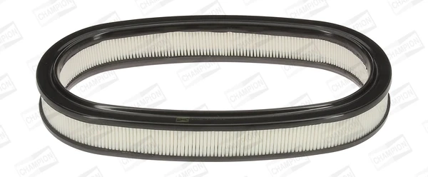 Filtro de ar para Ford Escort (AVL)
