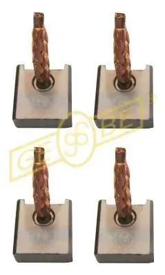 Escova do motor de arranco Renault 21 S48